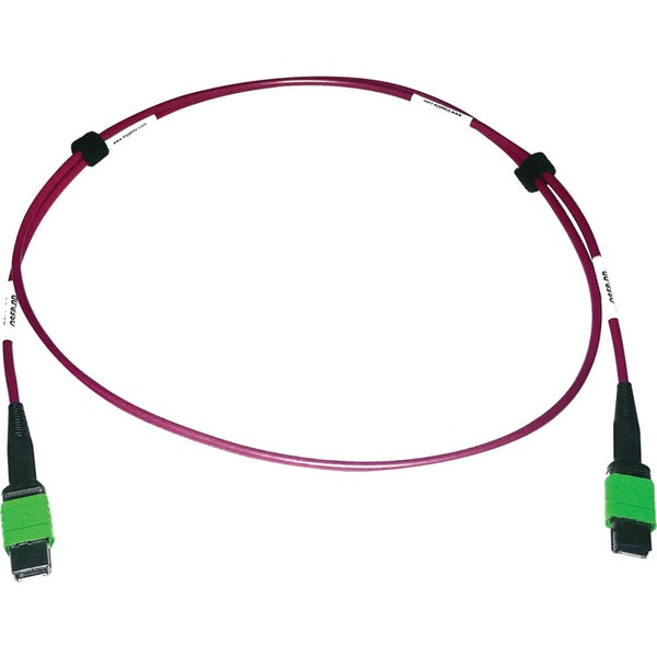 Tripp Lite Multimode Fiber Optic Cable 400G OM4 Plenum MTP-MPO-APC F-F 1M