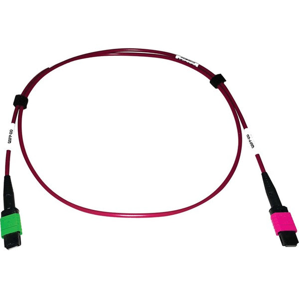 Tripp Lite Multimode Fiber Optic Cable 400G OM4 MTP-MPO-APC to MTP-MPO-UPC F-F 1M