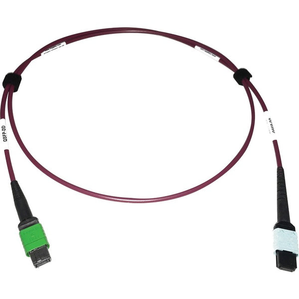 Tripp Lite Multimode Fiber Optic Cable 400G MTP-MPO-APC to 24F MTP-MPO-UPC F-F 1M