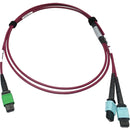Tripp Lite Multimode Fiber Optic Cable MTP-MPO-APC to x2 12F MTP-MPO-UPC F-F 1M