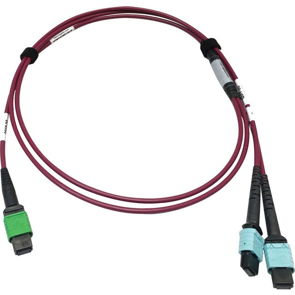 Tripp Lite Multimode Fiber Optic Cable MTP-MPO-APC to x2 12F MTP-MPO-UPC F-F 1M