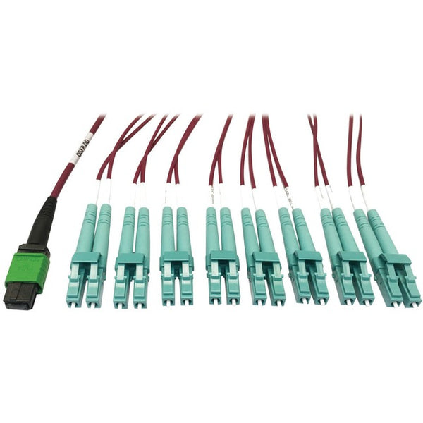 Tripp Lite Multimode Fiber Optic Breakout Cable 16F MTP-MPO-APC to x8 LC F-M 1M