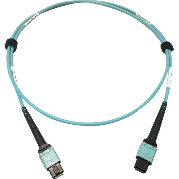 Tripp Lite Multimode Fiber Optic Cable OM4 Plenum 400G 50 24F MTP-MPO-PC F-F 1M