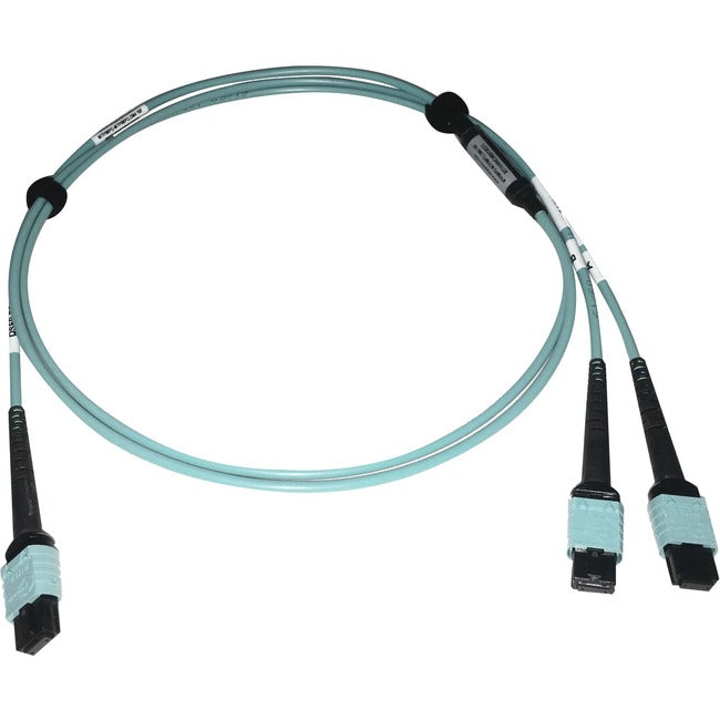 Tripp Lite Multimode Fiber Optic Cable 24F MTP-MPO-PC to x2 12F MTP-MPO-PC F-F 1M