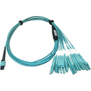 Tripp Lite Multimode Fiber Optic Breakout Cable 24F MTP-MPO-PC to x8 LC F-M 1M