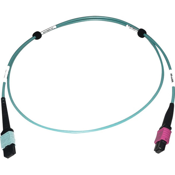Tripp Lite Multimode Fiber Optic Cable 24F MTP-MPO-UPC to 16F MTP-MPO-UPC F-F 1M