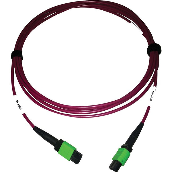 Tripp Lite Multimode Fiber Optic Cable 400G OM4 Plenum MTP-MPO-APC F-F 3M