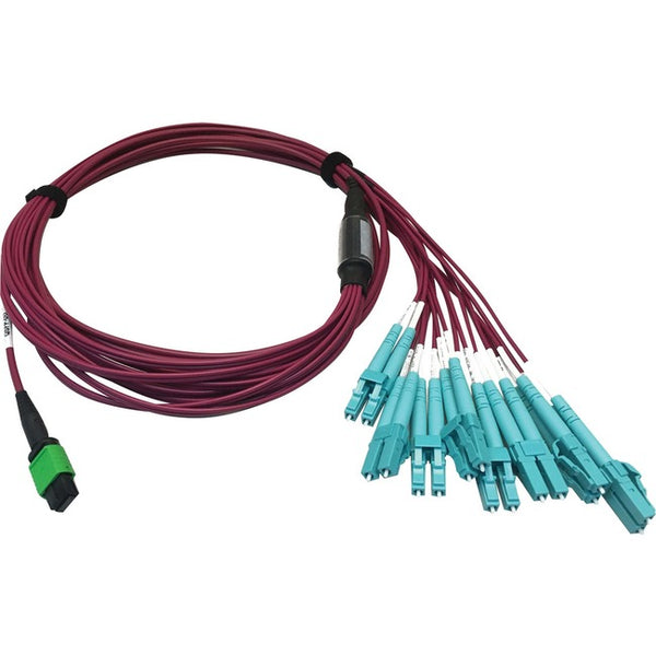 Tripp Lite N846D-03M-16EMG 400G Multimode 50-125 OM4 Fiber Optic Cable, Magenta, 3 m - American Tech Depot