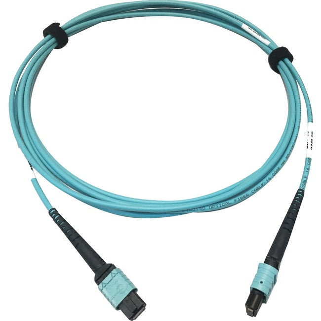 Tripp Lite Multimode Fiber Optic Cable OM4 Plenum 400G 50 24F MTP-MPO-PC F-F 3M