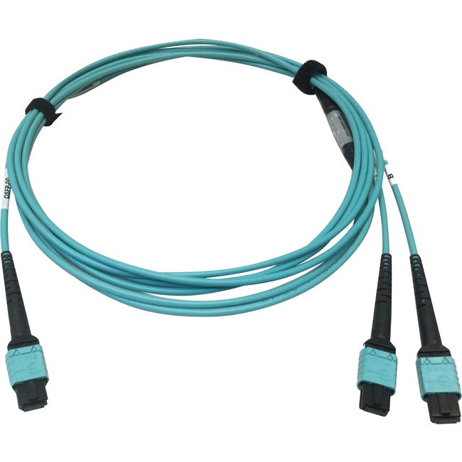 Tripp Lite Multomode Fiber Optic Cable 24F MTP-MPO-PC to x2 12F MTP-MPO-PC F-F 3M