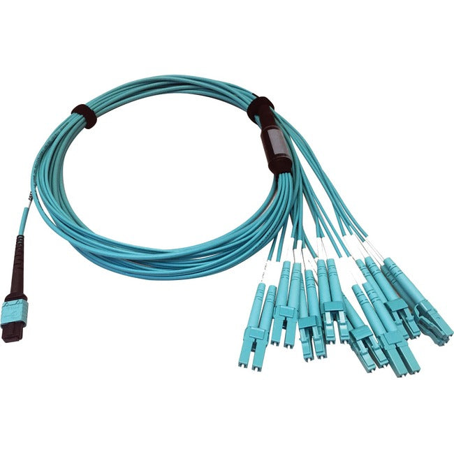 Tripp Lite Multimode Fiber Optic Breakout Cable 24F MTP-MPO-PC to x8 LC F-M 3M