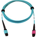Tripp Lite Multimode Fiber Optic Cable 24F MTP-MPO-UPC to 16F MTP-MPO-UPC F-F 3M