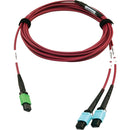 Tripp Lite N846D-05M-16DMG 400G Multimode 50-125 OM4 Fiber Optic Cable, Magenta, 5 m - American Tech Depot