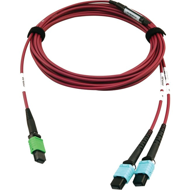 Tripp Lite N846D-05M-16DMG 400G Multimode 50-125 OM4 Fiber Optic Cable, Magenta, 5 m - American Tech Depot