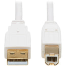 Tripp Lite USB-A to USB-B Antibacterial Cable (M-M), USB 2.0, White, 6 ft. - American Tech Depot