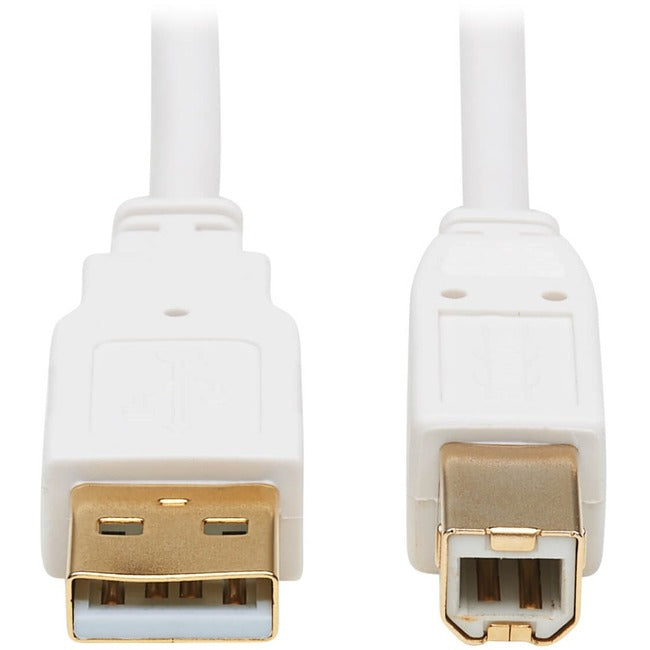 Tripp Lite USB-A to USB-B Antibacterial Cable (M-M), USB 2.0, White, 6 ft. - American Tech Depot