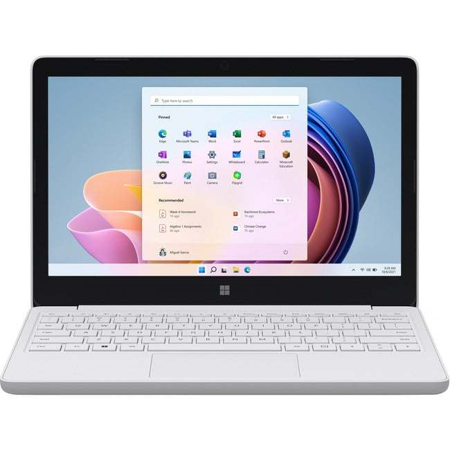 Microsoft Surface Laptop SE 11.6" Netbook - HD - 1366 x 768 - Intel Celeron N4020 Dual-core (2 Core) 1.10 GHz - 4 GB RAM - 64 GB Flash Memory - Silver