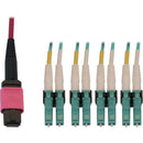 Tripp Lite N845X-05M-8L-MG Fiber Optic Duplex Trunk Network Cable