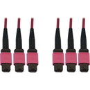 Tripp Lite N858B-10M-3X8MG Fiber Optic Trunk Network Cable
