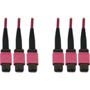 Tripp Lite N858B-15M-3X8MG Fiber Optic Trunk Network Cable